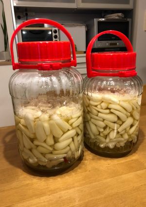 らっきょうの甘酢漬け-レシピのメイン写真