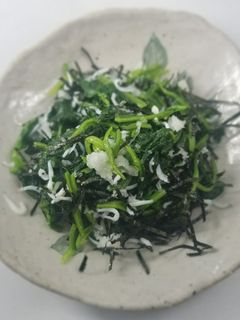 しらすとほうれん草のおろしポン酢あえ-レシピのメイン写真