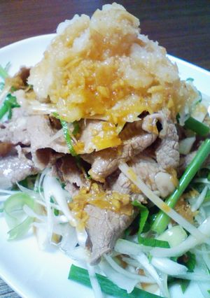 大根おろしでさっぱり★牛の冷しゃぶ-レシピのメイン写真