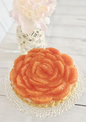 カラカラオレンジのレアチーズケーキタルト-レシピのメイン写真