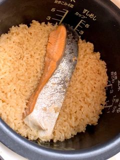 鮭も一緒に炊いちゃう☆簡単♪鮭寿司-レシピのメイン写真