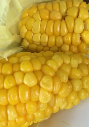 炊飯器でとうもろこしを茹でる-レシピのメイン写真