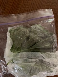 大葉の保存方法-レシピのメイン写真