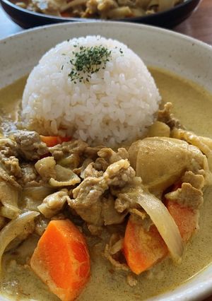 ココナッツミルクスパイスカレー(無水鍋)-レシピのメイン写真