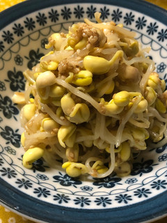 大豆モヤシの簡単ナムル-レシピのメイン写真