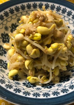 大豆モヤシの簡単ナムル-レシピのメイン写真
