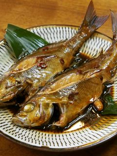 イサキの唐辛子煮つけ-レシピのメイン写真