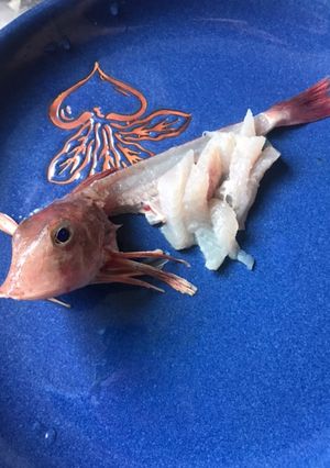 カナガシラのお刺身頭盛り付け-レシピのメイン写真