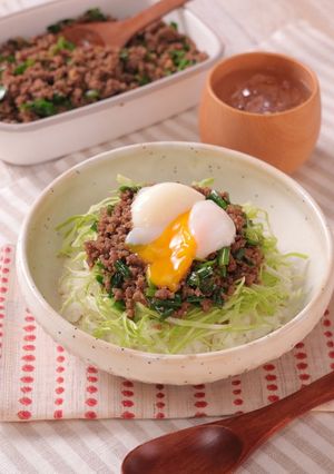 作り置きでパパッと！肉そぼろごはん-レシピのメイン写真