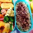 女子高校生毎日お弁当31♪