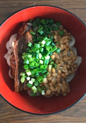 簡単すぎ！さんまの缶詰でひっぱりうどん-レシピのメイン写真