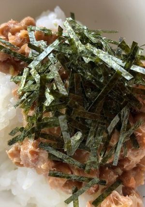 納豆明太子ご飯（パスタソースで）-レシピのメイン写真