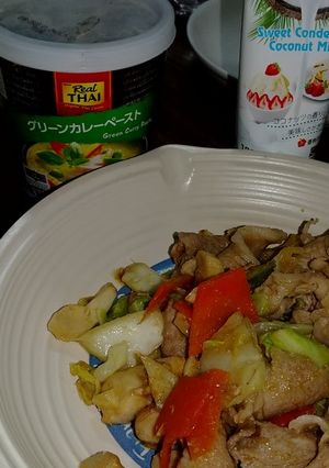 野菜炒めのグリーンカレー風味-レシピのメイン写真