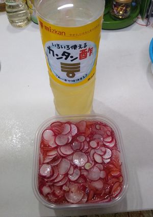 【農家向け大量消費】ラディッシュの常備菜-レシピのメイン写真