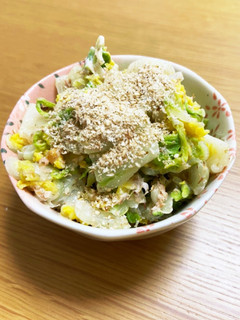白菜サラダ-レシピのメイン写真