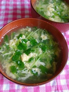 たっぷり豆苗と卵の中華スープ-レシピのメイン写真