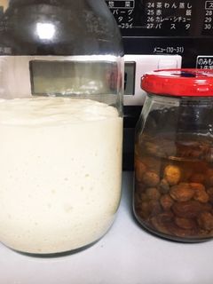 レーズン酵母と酵母種-レシピのメイン写真