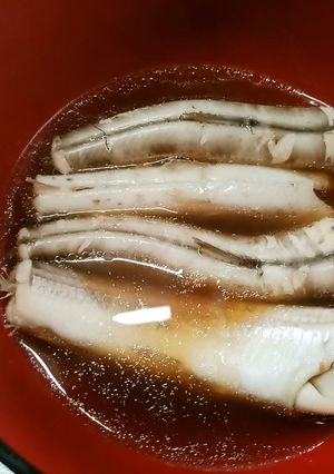 ニギスを煮たのと、お刺身　沖ギス-レシピのメイン写真