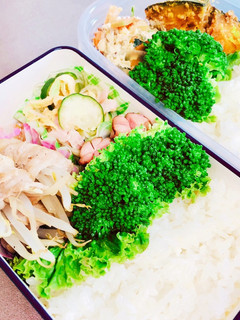 女子高生お弁当 6/2記録-レシピのメイン写真