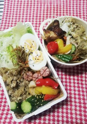 パパ&ママ弁当♡ダイエット弁当 6/4-レシピのメイン写真