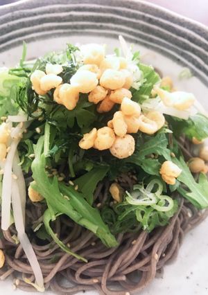 そのまま生の春菊とモヤシのっけ蕎麦-レシピのメイン写真