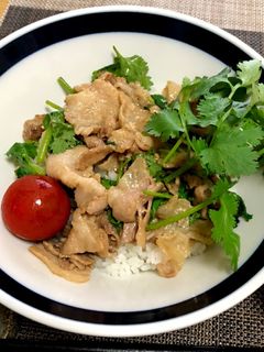 豚肉とパクチーのエスニック丼-レシピのメイン写真