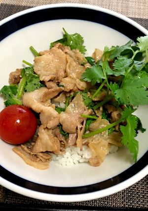 豚肉とパクチーのエスニック丼-レシピのメイン写真
