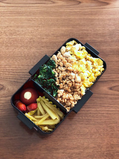 男子高校生お弁当!三色丼-レシピのメイン写真