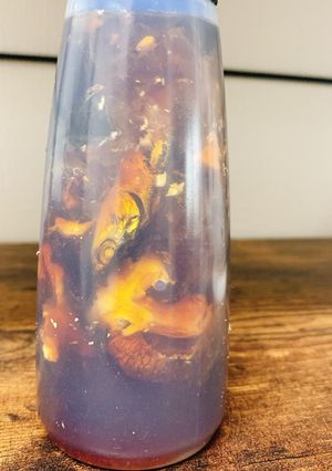 自家製　海と山のだし調味料-レシピのメイン写真