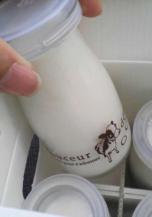 材料３つ☆牛乳プリン-レシピのメイン写真