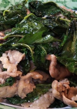 豚肉とモロヘイヤの炒め物-レシピのメイン写真