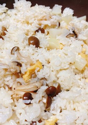 新にんにくの炊き込みご飯！炊飯器・鍋-レシピのメイン写真