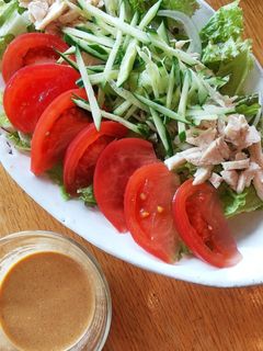 レンジ蒸し むね肉 棒々鶏風 サラダ-レシピのメイン写真