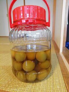 【梅の保存食】梅がメインの梅酒-レシピのメイン写真