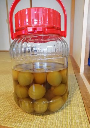 【梅の保存食】梅がメインの梅酒-レシピのメイン写真