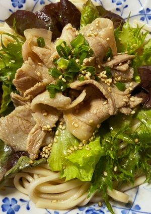 豚しゃぶ冷やしうどん♪-レシピのメイン写真