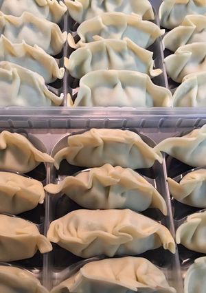 手作り餃子の保存方法-レシピのメイン写真