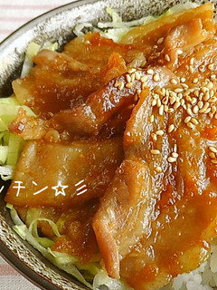 ガツンと旨い!豚カルビ丼-レシピのメイン写真