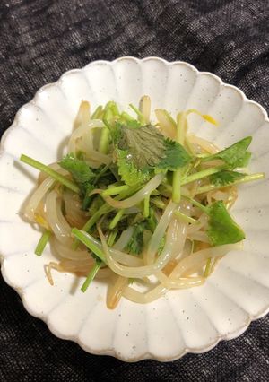 パクチーともやしのおつまみサラダ-レシピのメイン写真