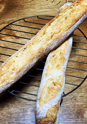 本格フランスパン〜捏ねない2日間〜-レシピのメイン写真
