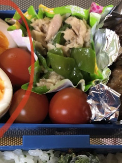 お弁当用 味玉-レシピのメイン写真