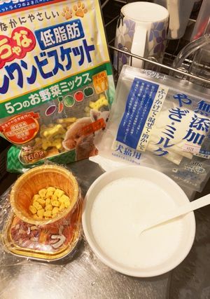 犬用のケーキ-レシピのメイン写真