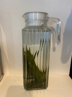 昆布水 全ての料理に!-レシピのメイン写真