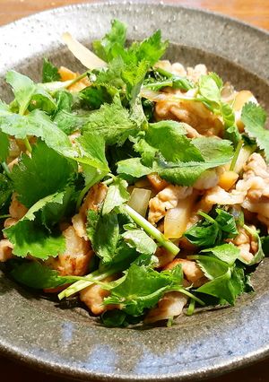タモリさんの豚の生姜焼き+三つ葉大量消費-レシピのメイン写真