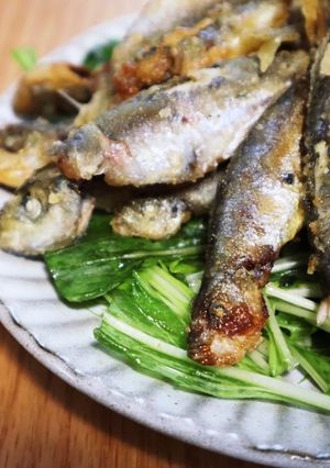 何匹でも食べられる！小アジの唐揚げ-レシピのメイン写真