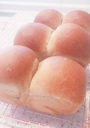 黒糖ぱん<夏>-レシピのメイン写真