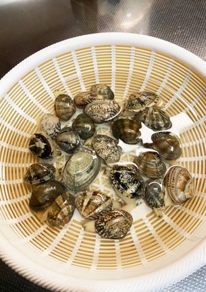 完ぺきなアサリの砂抜き☆細かく解説☆-レシピのメイン写真