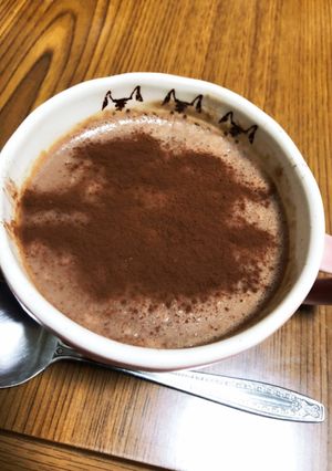 トロトロ系の低糖質ココアプリン-レシピのメイン写真