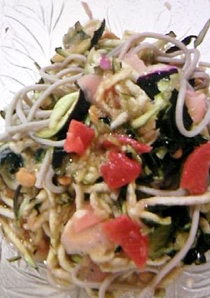 ナス納豆そば-レシピのメイン写真