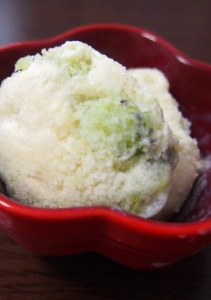 豆乳でキウイのアイスクリーム-レシピのメイン写真